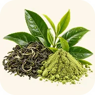 Green tea leaves and powder, a natural source of L-theanine