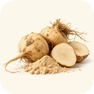 Whole, sliced and powdered maca root
