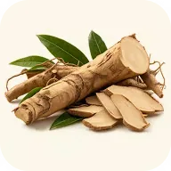Tongkat ali root cut into pieces